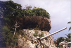 Jap Shore Battery 1999